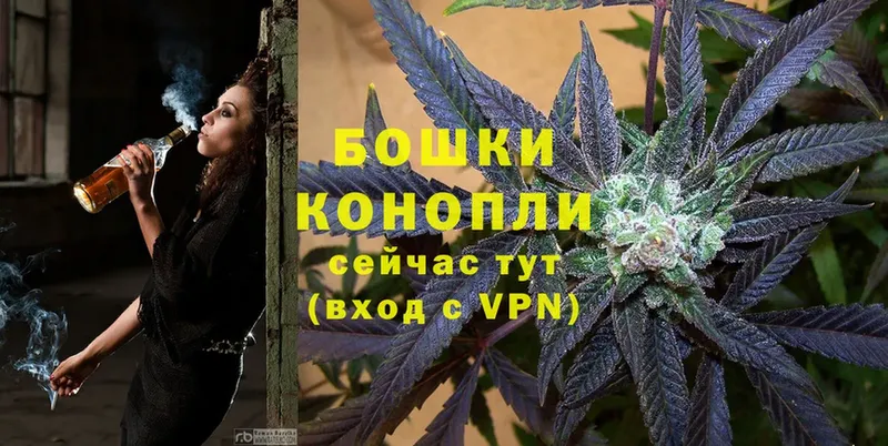 купить закладку  Севастополь  Бошки марихуана SATIVA & INDICA 